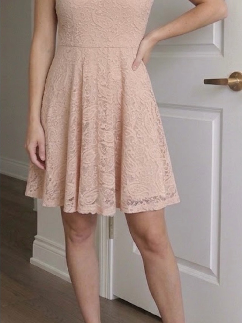 Women's Lace Fit & Flare Dress in Blush